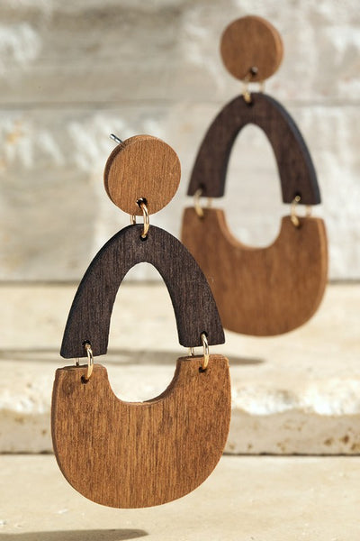 Oval Two Tone Wood Drop Earrings